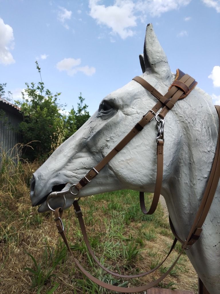Bridon pour un cheval d'endurance, biothane beta taupe, tetière matelassée large ( commande client )