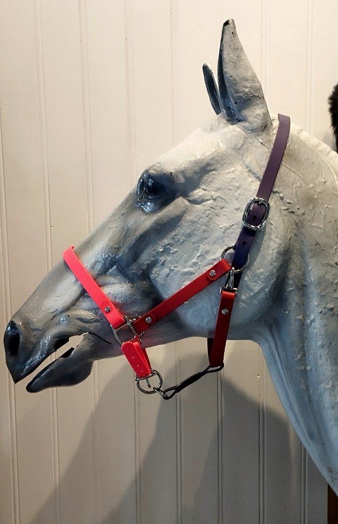 licol en biothane fin, pour des chevaux arabe d'endurance. commande personnalisée : rose fluo, bordeaux, violet. reglables !!!!